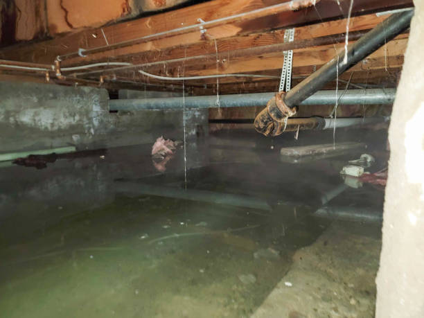 Best Water damage restoration specialists  in Lakeview, NY