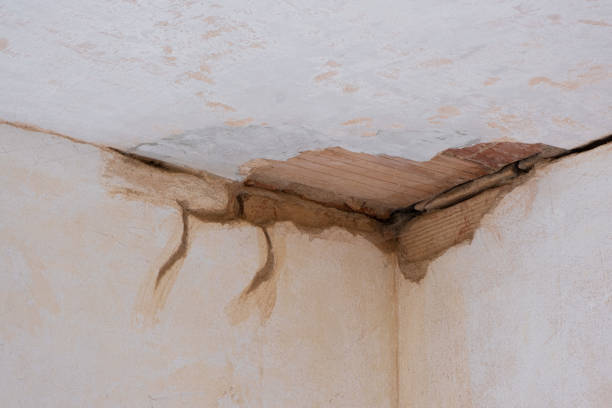 Best Water damage restoration mold remediation  in Lakeview, NY