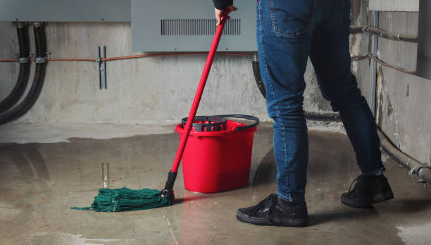  Lakeview, NY Water damage restoration Pros