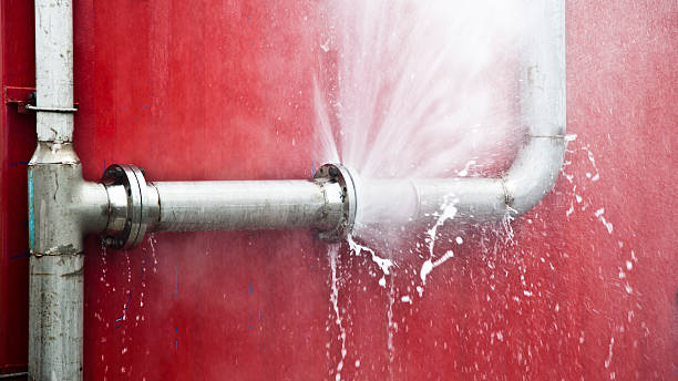 Best Flooded house restoration  in Lakeview, NY